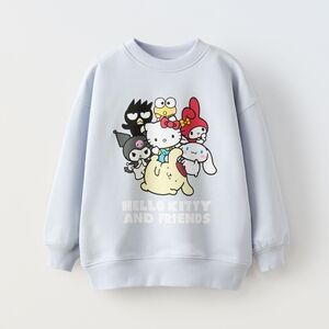 Zara Light Gray Sweatshirt